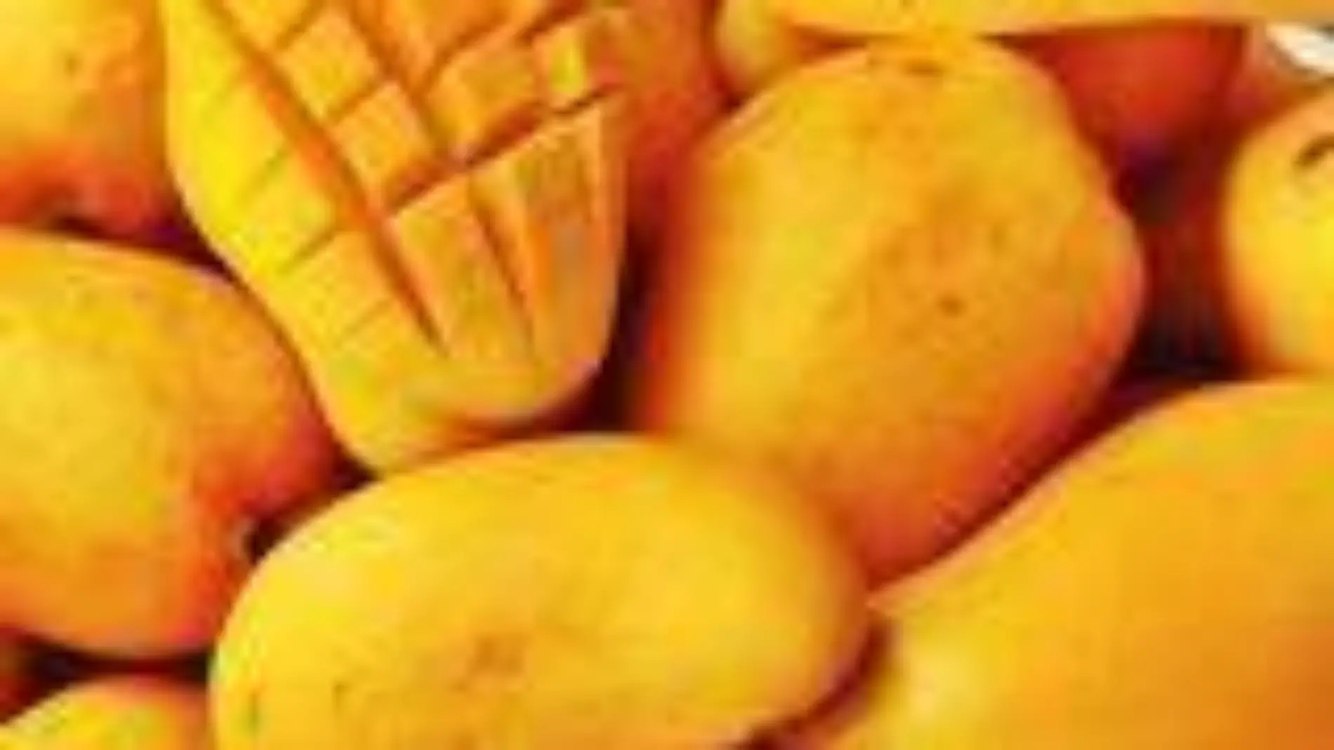 Mango Ataúlfo
